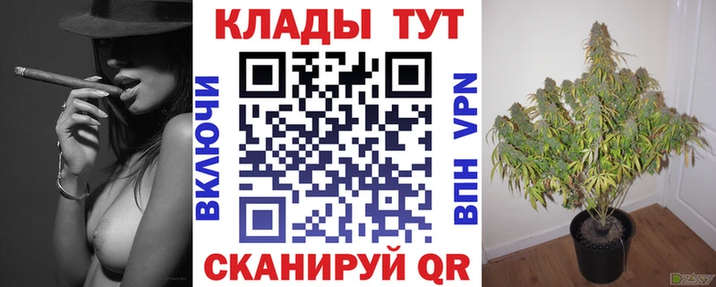 Где найти наркотики Верхняя Пышма ГАШИШ  МЕТАМФЕТАМИН  АМФЕТАМИН  A-PVP  МАРИХУАНА  Мефедрон  КОКАИН  Псилоцибиновые грибы 