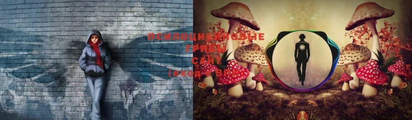 соль курить ск Белокуриха