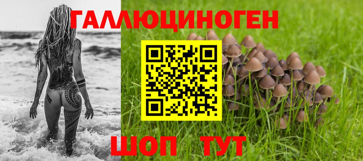 Псилоцибиновые грибы Cubensis  Псилоцибиновые грибы GOLDEN TEACHER  Верхняя Пышма  Вход с VPN 