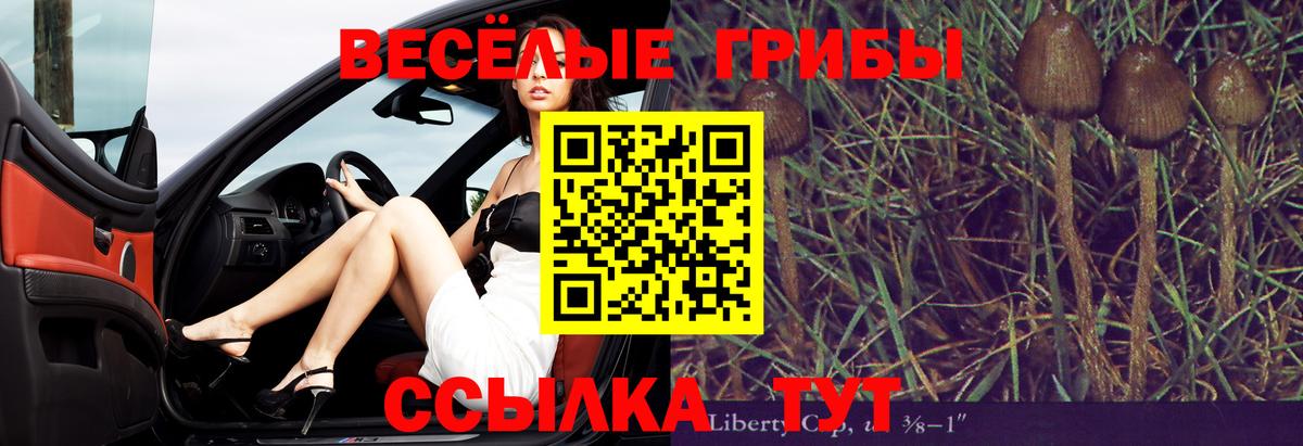 Псилоцибиновые грибы Psilocybine cubensis Верхняя Пышма